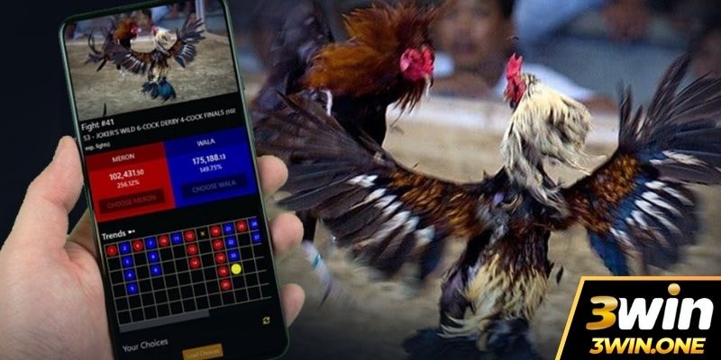 App Đá Gà Uy Tín Top 1 Châu Á Nhận Ngay Ưu Đãi Đăng Ký 100K